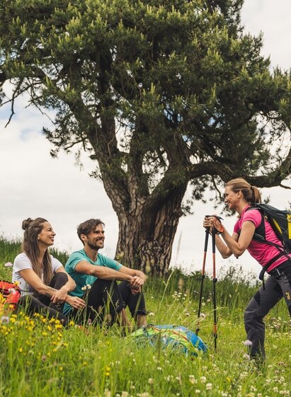 Wandern am Hochkögelweg | © TV Thermen- & Vulkanland | Bernhard Bergmann | © TV Thermen- & Vulkanland