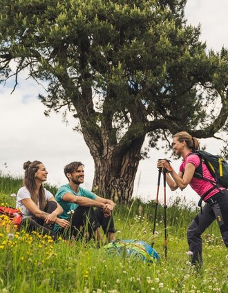 Wandern am Hochkögelweg | Bernhard Bergmann | © TV Thermen- & Vulkanland