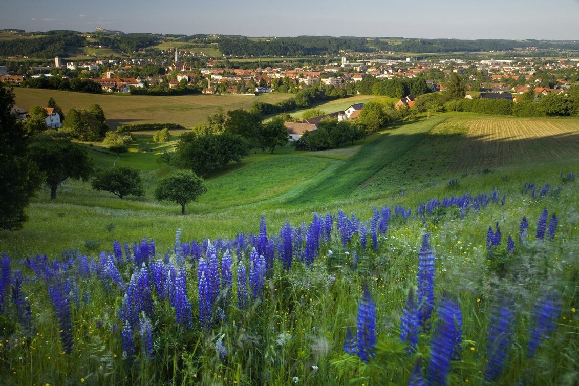 Theme path Backbone (Rückgrat) / Feldbach-Bad Gleichenberg - Touren-Impression #1 | © Thermen- & Vulkanland