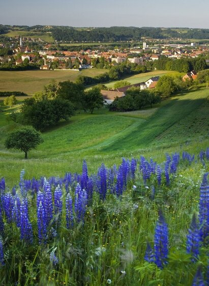 rückgrat: feldbach-bad gleichenberg - auf den spuren der vulkane_img_27736369 | © Thermen- & Vulkanland | Conterfei | © Thermen- & Vulkanland