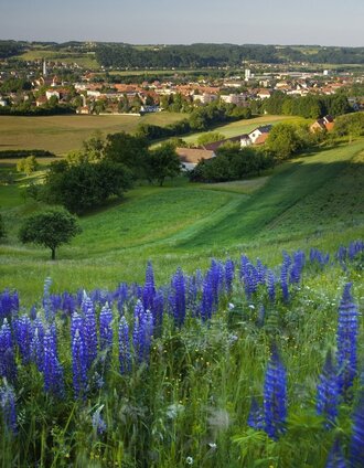 rückgrat: feldbach-bad gleichenberg - auf den spuren der vulkane_img_27736369 | Conterfei | © Thermen- & Vulkanland
