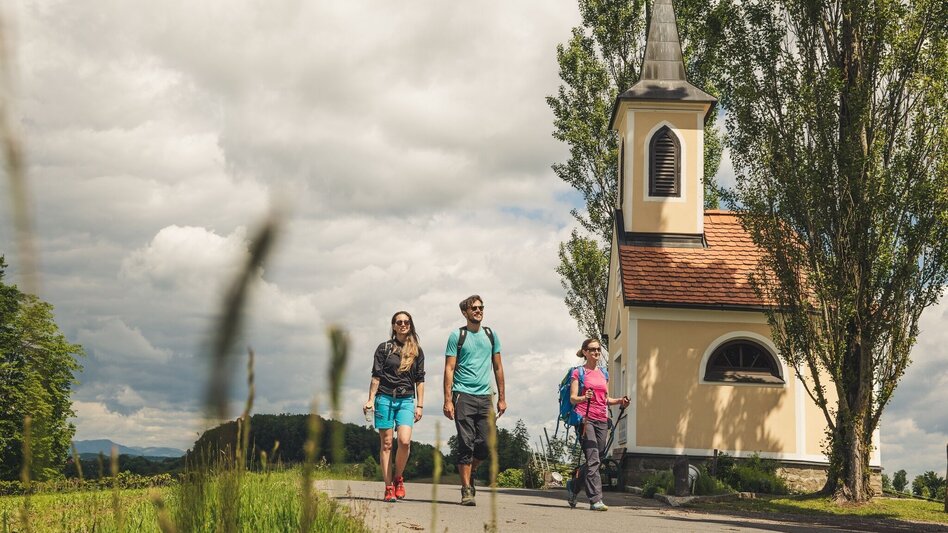 Theme path Right head track (Rechte Kopfspur) - In the footsteps of the vulcanoes - Touren-Impression #2.3 | © Thermen- & Vulkanland