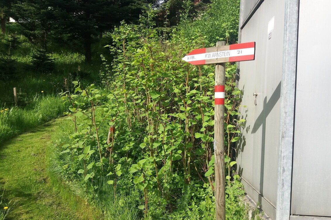 Wanderung Teigitsch-Wartenstein-Runde (über Ligist) - Touren-Impression #1 | © Tourismusbüro Lipizzanerheimat