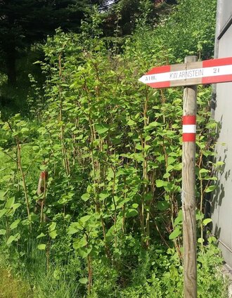 Teigisch-Wartenstein-Runde_Abzweigung Wanderweg | TV Lipizzanerheimat/EU | © Tourismusbüro Lipizzanerheimat