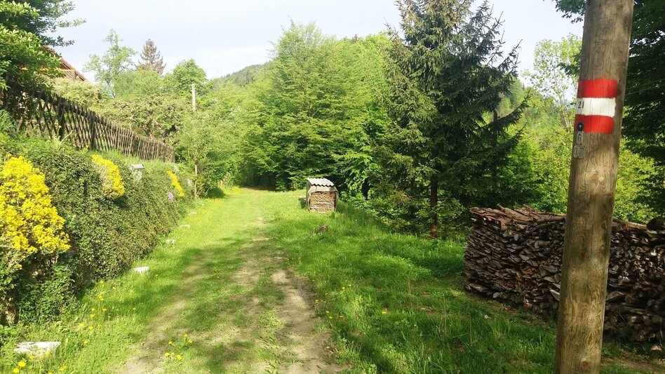 Wanderung Teigitsch-Wartenstein-Runde (über Ligist) - Touren-Impression #2.2 | © Tourismusbüro Lipizzanerheimat