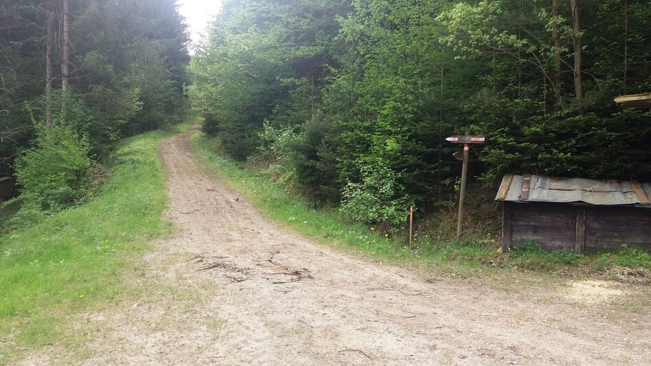 Wanderung Teigitsch-Wartenstein-Runde (über Ligist) - Touren-Impression #2.9 | © Tourismusbüro Lipizzanerheimat
