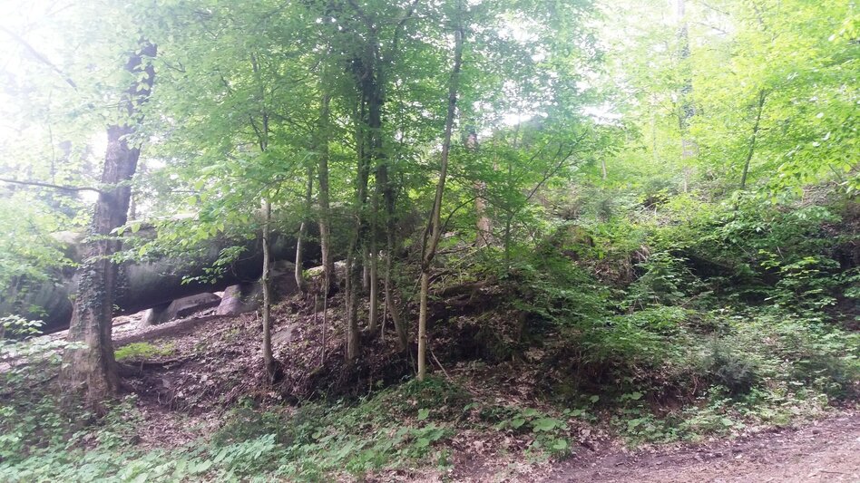 Wanderung Teigitsch-Wartenstein-Runde (über Ligist) - Touren-Impression #2.10 | © Tourismusbüro Lipizzanerheimat