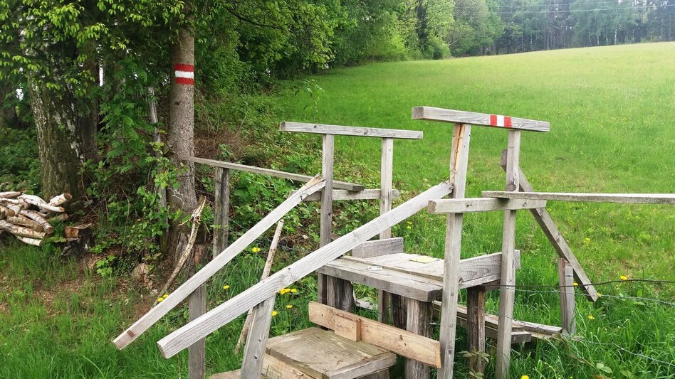 Wanderung Teigitsch-Wartenstein-Runde (über Ligist) - Touren-Impression #2.15 | © Tourismusbüro Lipizzanerheimat