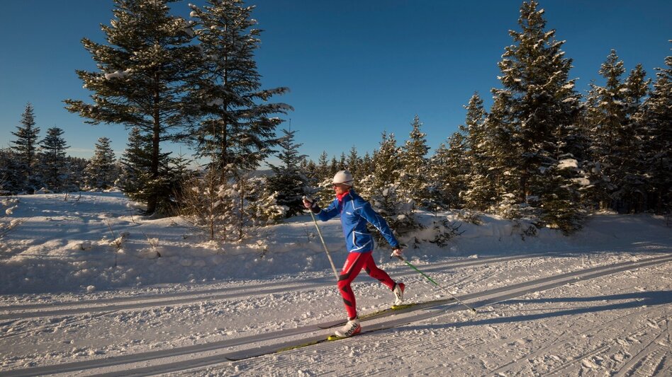 Langlauf klassisch Joglland Loipe Sankt Jakob im Walde - Wanderloipe, St. Jakob im Walde - Touren-Impression #2.1 | © Gasthof Orthofer