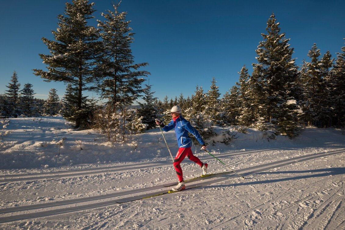 Langlauf klassisch Joglland Loipe Sankt Jakob im Walde - Wanderloipe, St. Jakob im Walde - Touren-Impression #1 | © Gasthof Orthofer