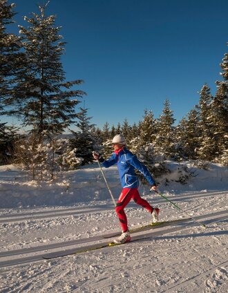Langlaufen auf der Joglland Loipe | Bernhard Bergmann | © Gasthof Orthofer