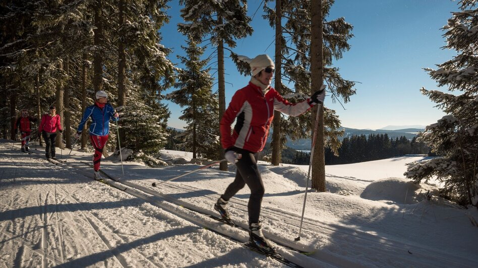 Langlauf klassisch Joglland Loipe Sankt Jakob im Walde - Wanderloipe, St. Jakob im Walde - Touren-Impression #2.4 | © Gasthof Orthofer