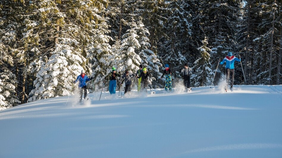 Langlauf klassisch Joglland Loipe Sankt Jakob im Walde - Wanderloipe, St. Jakob im Walde - Touren-Impression #2.7 | © Gasthof Orthofer