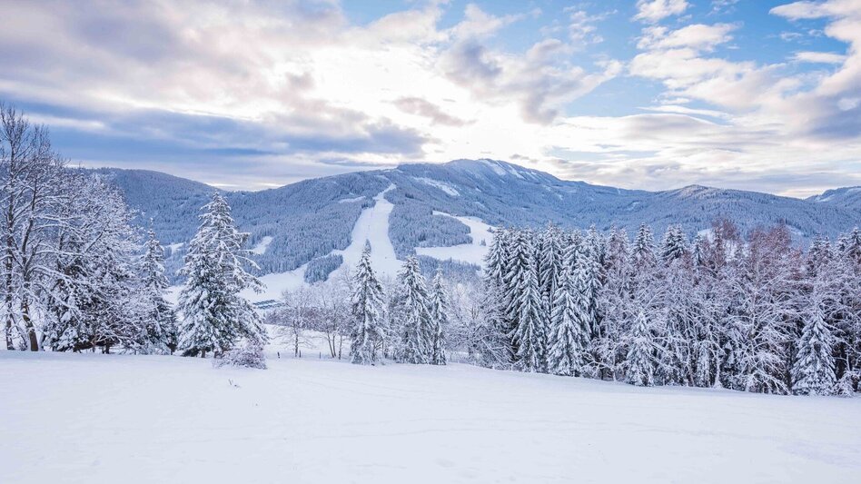 Ski Touring Grebenzen-Route (Skiroute 3) - Touren-Impression #2.1 | © Tourismusverband Murau
