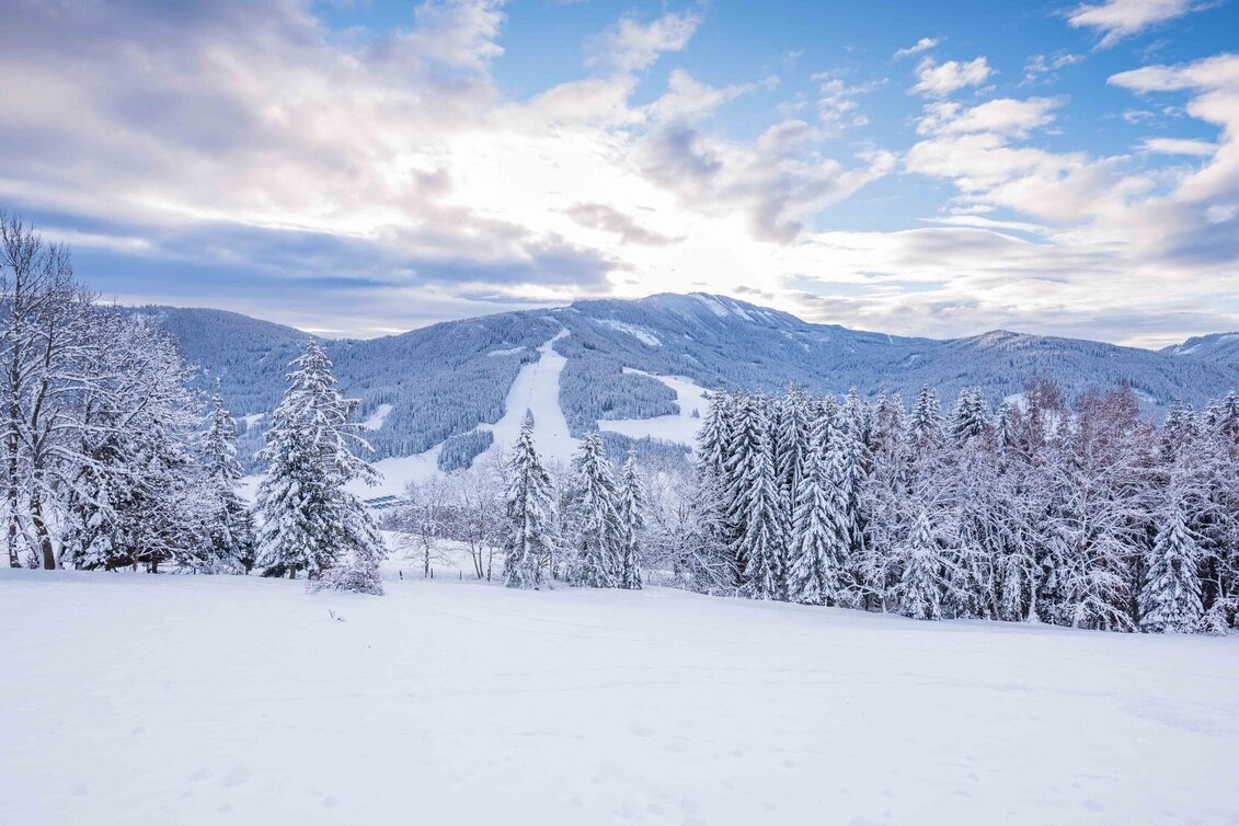 Ski Touring Grebenzen-Route (Skiroute 3) - Touren-Impression #1 | © Tourismusverband Murau