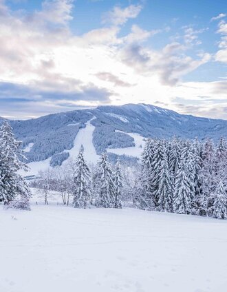 Naturpark-Winterwandern in St. Lambrecht_Blick auf die Grebenzen | René Hochegger | © Tourismusverband Murau