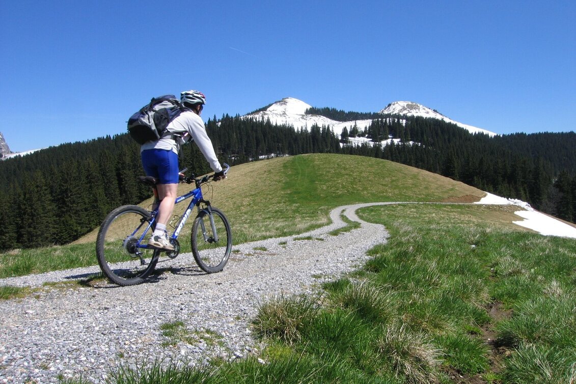Mountainbike BergRadlWallfahrt Naturpark Mürzer Oberland - Touren-Impression #1 | © TV Hochsteiermark