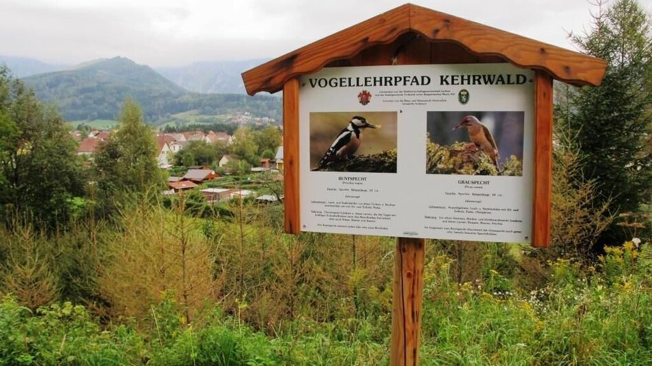 Themen- und Lehrpfad Vogellehrpfad Kehrwald - Touren-Impression #2.1 | © TV Erzberg Leoben