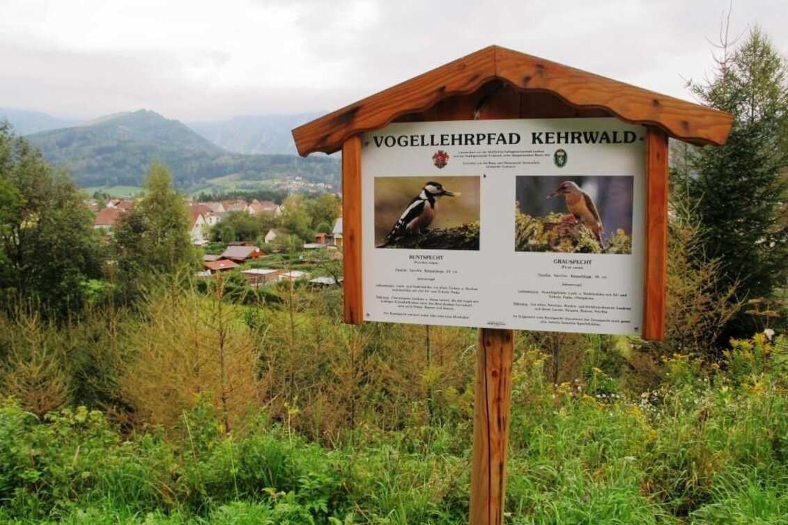 Themen- und Lehrpfad Vogellehrpfad Kehrwald - Touren-Impression #1 | © TV Erzberg Leoben
