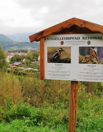 Vogellehrpfad Kehrwald | TV Erzberg Leoben | © TV Erzberg Leoben