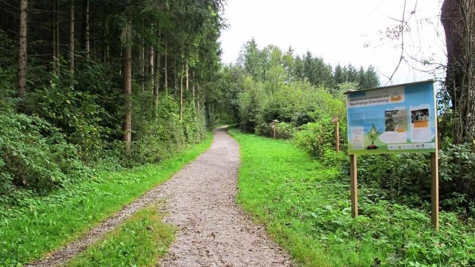 Themen- und Lehrpfad Vogellehrpfad Kehrwald - Touren-Impression #2.2 | © TV Erzberg Leoben