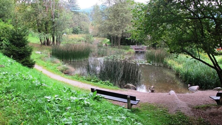 Themen- und Lehrpfad Vogellehrpfad Kehrwald - Touren-Impression #2.3 | © TV Erzberg Leoben