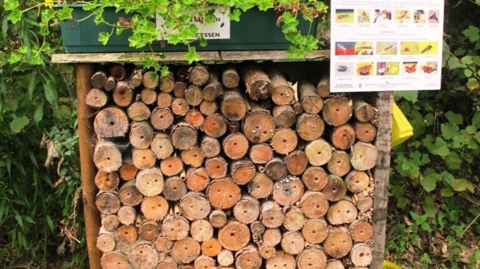 Themen- und Lehrpfad Vogellehrpfad Kehrwald - Touren-Impression #2.5 | © TV Hochsteiermark