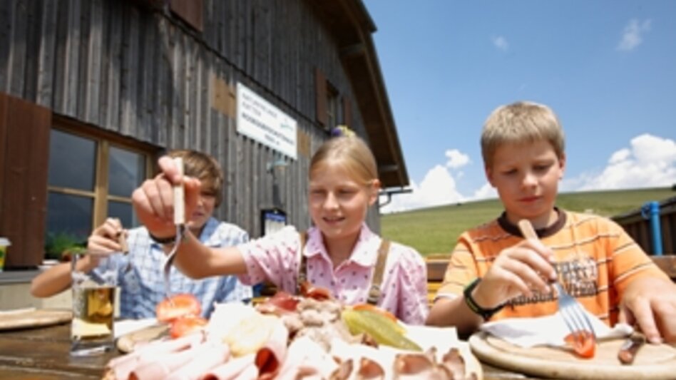 Long-Distance Hiking Hike from Bruck through the forest home of Peter Rosegger to Mürzzuschlag - Touren-Impression #2.6 | © TV Hochsteiermark