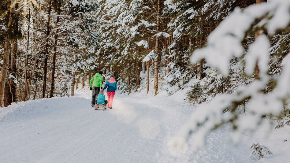Winter Hiking Fegenberg Circular Route - Touren-Impression #2.3 | © TV Hochsteiermark
