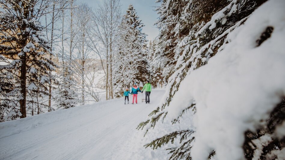 Winter Hiking Fegenberg Circular Route - Touren-Impression #2.4 | © TV Hochsteiermark