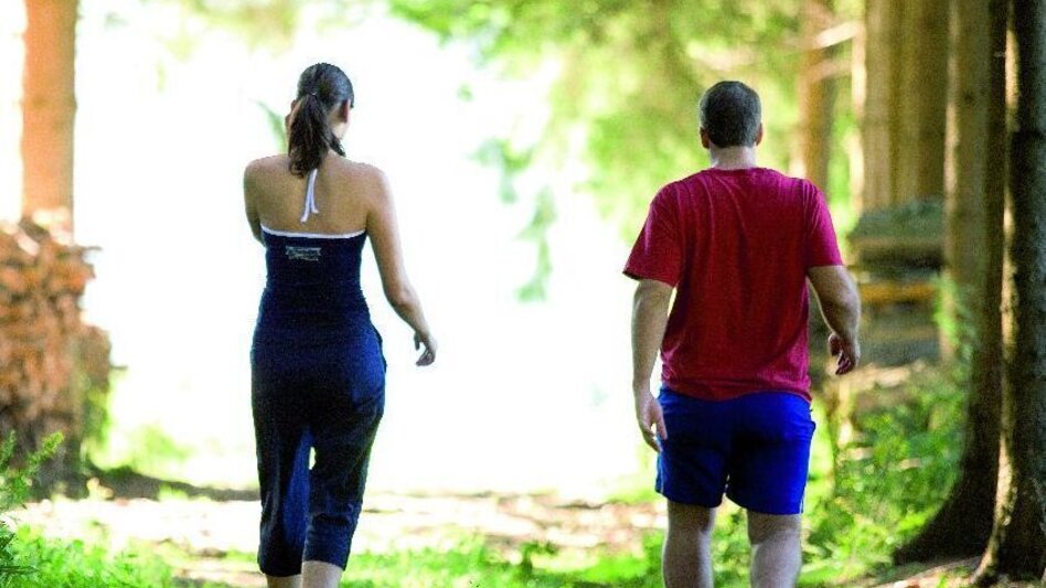 Wanderung Moos, Farne und Kräuter, Fischbach - Touren-Impression #2.1 | © Unbekannt