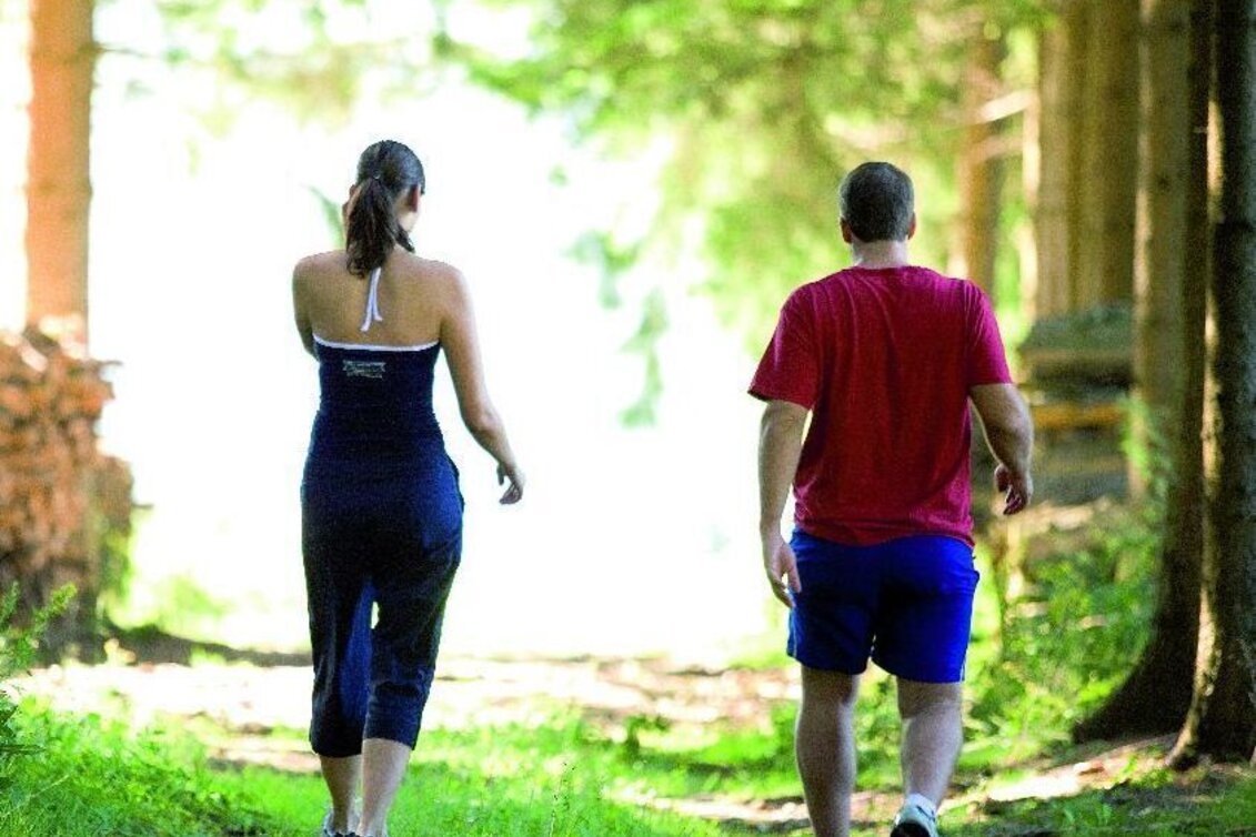 Wanderung Moos, Farne und Kräuter, Fischbach - Touren-Impression #1 | © Unbekannt