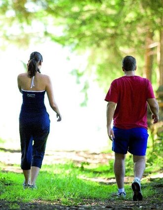 Moos, Farne und Kräuter | © Unbekannt