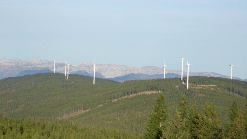 Pilgrim Walk Stanglalpe, Fischbach - Touren-Impression #2.1 | © Marianne Dornhofer