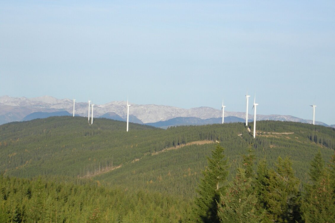 Pilgrim Walk Stanglalpe, Fischbach - Touren-Impression #1 | © Marianne Dornhofer