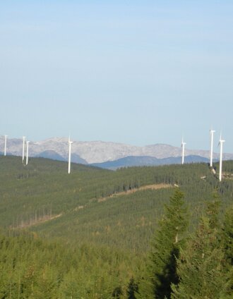 Aussicht zur Stanglalpe | Marianne Dornhofer | © Marianne Dornhofer