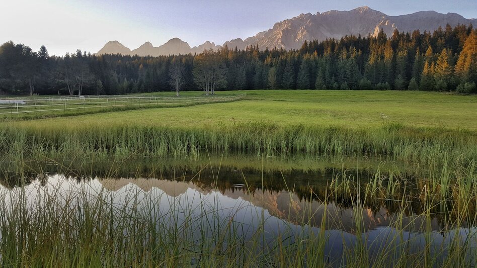 Mountainbike Ramsau Runde | 307 - Touren-Impression #2.1 | © Erlebnisregion Schladming-Dachstein