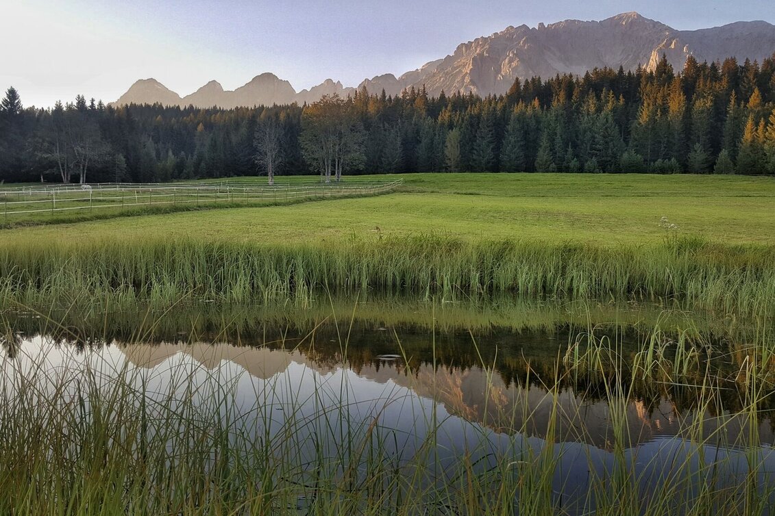 Mountainbike Ramsau Runde | 307 - Touren-Impression #1 | © Erlebnisregion Schladming-Dachstein