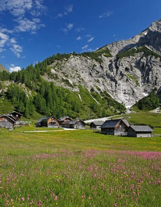 Almenlandschaft auf der Ursprungalm | Schladming Dachstein | © Erlebnisregion Schladming-Dachstein
