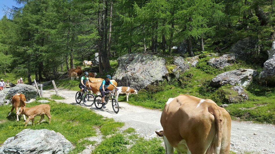 Mountainbike Giglachsee Tour | 302 - Touren-Impression #2.3 | © Erlebnisregion Schladming-Dachstein