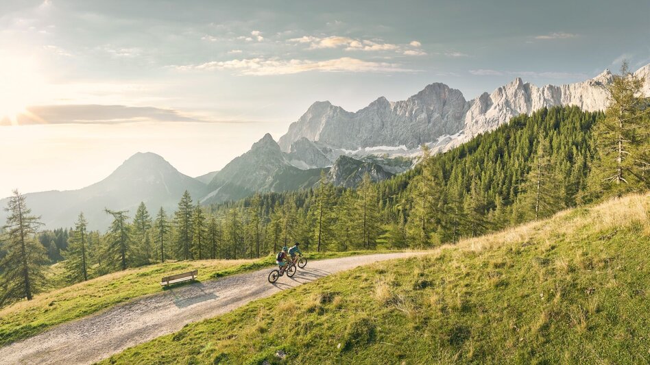 Mountain Biking Panorama Tour | 305 - Touren-Impression #2.1 | © Erlebnisregion Schladming-Dachstein