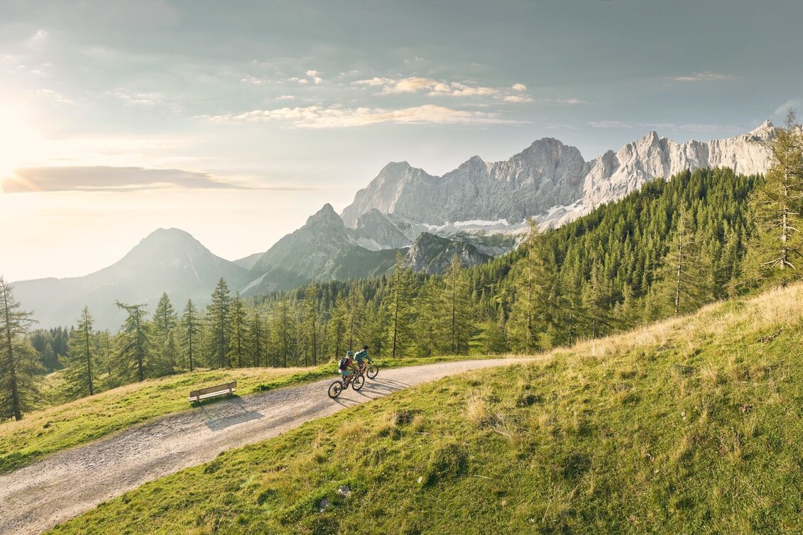 Mountain Biking Panorama Tour | 305 - Touren-Impression #1 | © Erlebnisregion Schladming-Dachstein
