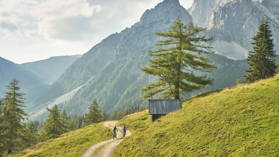 Mountain Biking Panorama Tour | 305 - Touren-Impression #2.3 | © Erlebnisregion Schladming-Dachstein