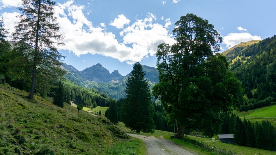 Mountainbike Fünf Berge Runde | 310 - Touren-Impression #2.7