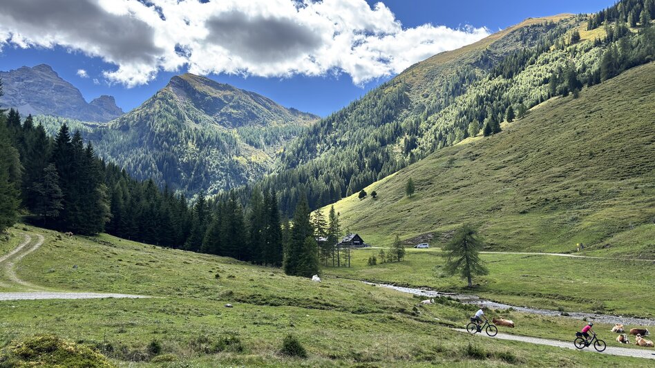 Mountainbike Fünf Berge Runde | 310 - Touren-Impression #2.8