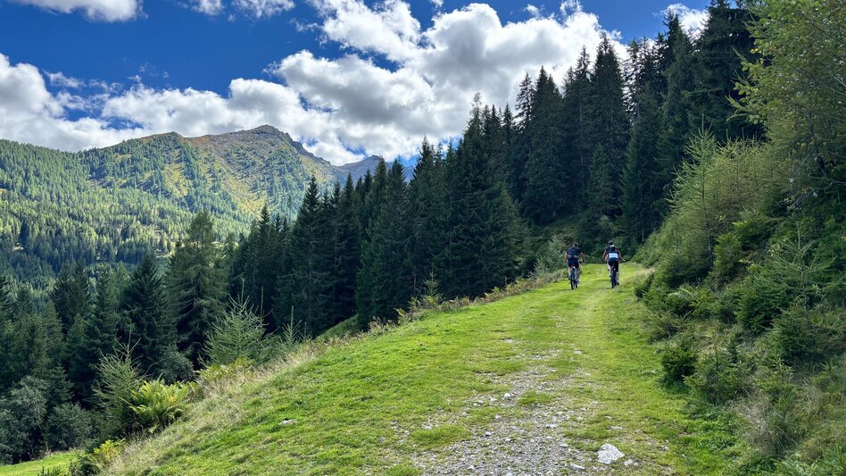 Mountainbike Fünf Berge Runde | 310 - Touren-Impression #2.9
