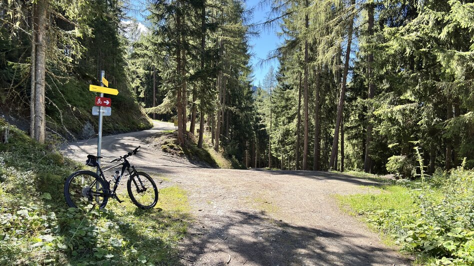 Mountainbike Fünf Berge Runde | 310 - Touren-Impression #2.10