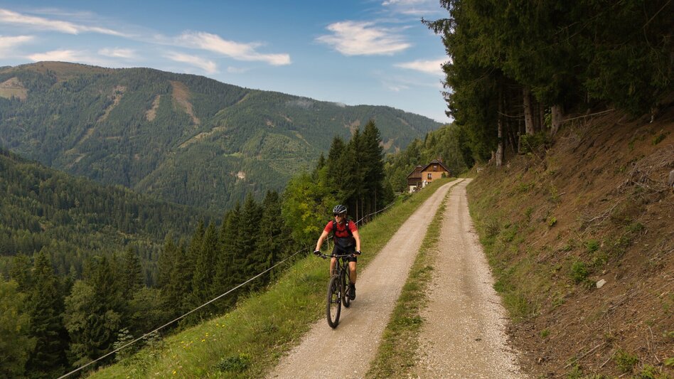 Mountainbike Planneralm Runde (mit Lademöglichkeit) | 317 - Touren-Impression #2.3