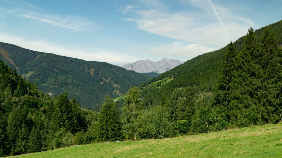 Mountainbike Planneralm Runde (mit Lademöglichkeit) | 317 - Touren-Impression #2.4