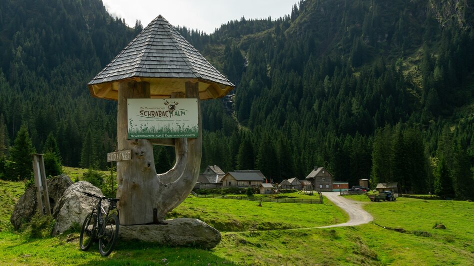 Mountainbike Planneralm Runde (mit Lademöglichkeit) | 317 - Touren-Impression #2.9